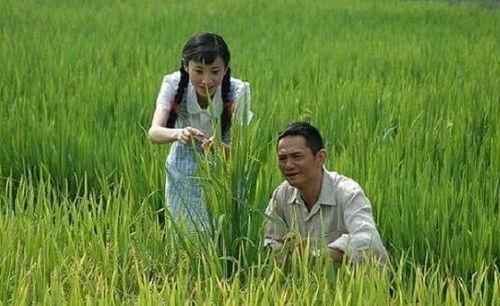 袁隆平下田爆料视频大全,揭秘农业科技发展背后的故事 第2张 袁隆平下田爆料视频大全,揭秘农业科技发展背后的故事 第2张